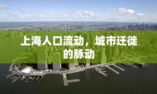 上海人口流動，城市遷徙的脈動