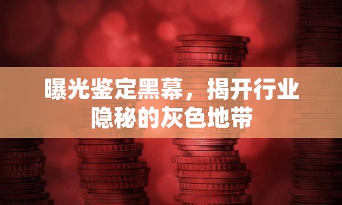 曝光鑒定黑幕，揭開行業(yè)隱秘的灰色地帶