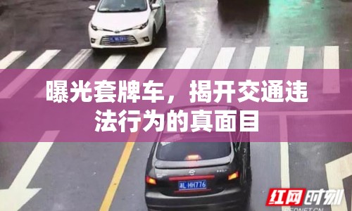 曝光套牌車，揭開交通違法行為的真面目