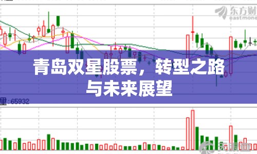 青島雙星股票，轉(zhuǎn)型之路與未來展望