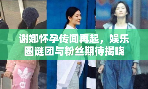 謝娜懷孕傳聞再起，娛樂圈謎團(tuán)與粉絲期待揭曉