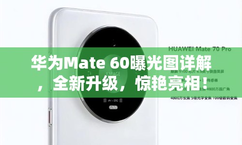 華為Mate 60曝光圖詳解，全新升級，驚艷亮相！