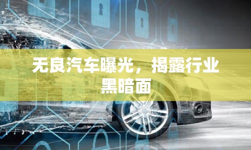 無(wú)良汽車(chē)曝光，揭露行業(yè)黑暗面