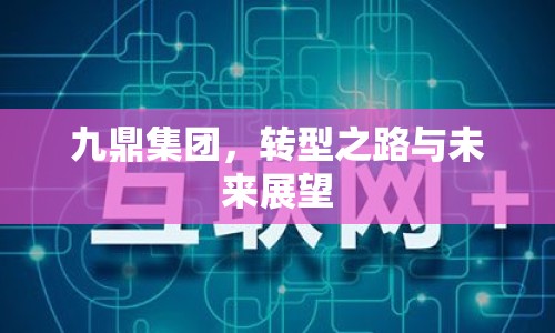 九鼎集團，轉型之路與未來展望