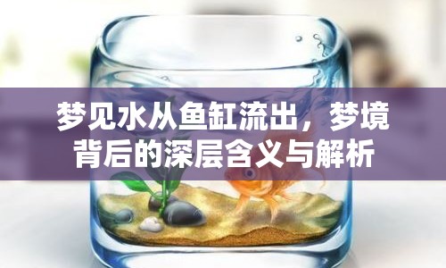 夢(mèng)見(jiàn)水從魚缸流出，夢(mèng)境背后的深層含義與解析
