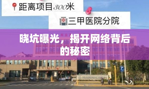 曉坑曝光，揭開網(wǎng)絡(luò)背后的秘密