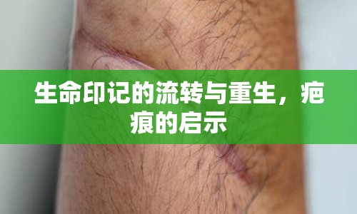 生命印記的流轉(zhuǎn)與重生，疤痕的啟示