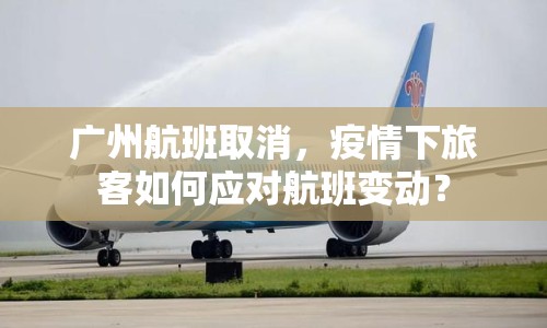 廣州航班取消，疫情下旅客如何應(yīng)對(duì)航班變動(dòng)？