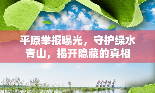 平原舉報曝光，守護(hù)綠水青山，揭開隱藏的真相