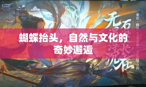 蝴蝶抬頭，自然與文化的奇妙邂逅