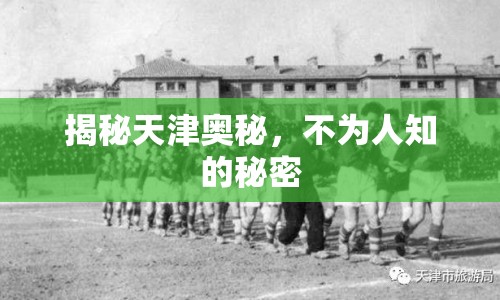 揭秘天津奧秘，不為人知的秘密