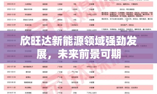欣旺達(dá)新能源領(lǐng)域強(qiáng)勁發(fā)展，未來(lái)前景可期