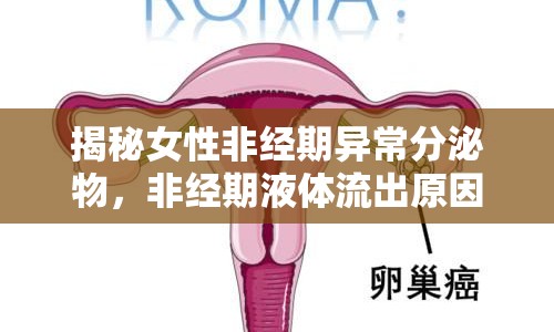 揭秘女性非經(jīng)期異常分泌物，非經(jīng)期液體流出原因及應(yīng)對(duì)方法