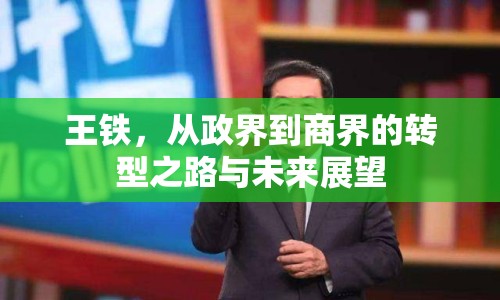 王鐵，從政界到商界的轉(zhuǎn)型之路與未來展望