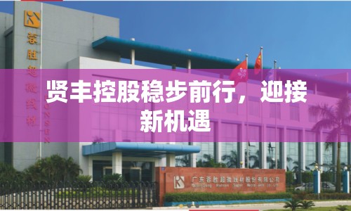 賢豐控股穩(wěn)步前行，迎接新機(jī)遇