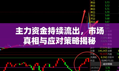 主力資金持續(xù)流出，市場真相與應(yīng)對策略揭秘