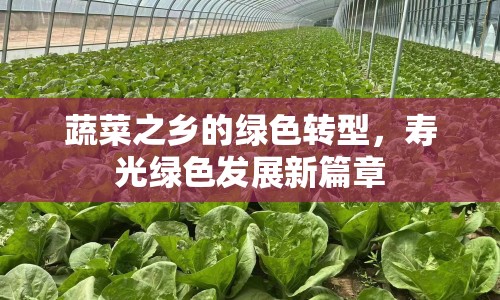 蔬菜之鄉(xiāng)的綠色轉(zhuǎn)型，壽光綠色發(fā)展新篇章
