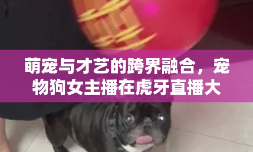 萌寵與才藝的跨界融合，寵物狗女主播在虎牙直播大放異彩
