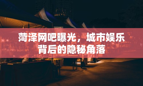 菏澤網(wǎng)吧曝光，城市娛樂背后的隱秘角落