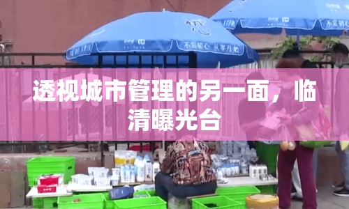 透視城市管理的另一面，臨清曝光臺