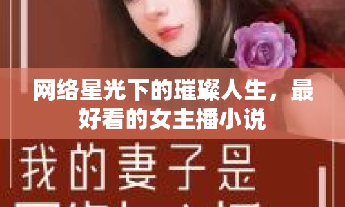 網(wǎng)絡星光下的璀璨人生，最好看的女主播小說