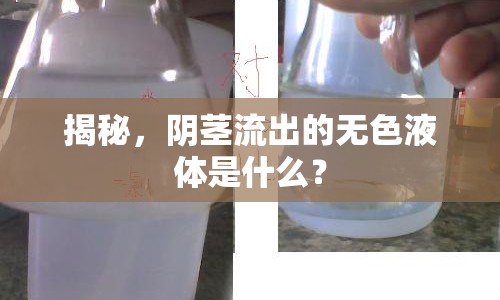 揭秘，陰莖流出的無色液體是什么？