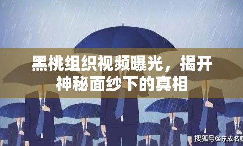 黑桃組織視頻曝光，揭開神秘面紗下的真相