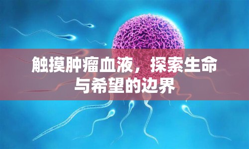 觸摸腫瘤血液，探索生命與希望的邊界