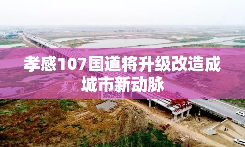 孝感107國(guó)道將升級(jí)改造成城市新動(dòng)脈