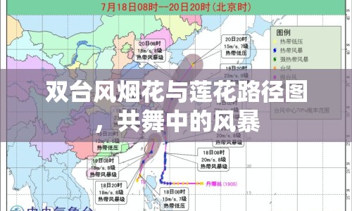 雙臺風煙花與蓮花路徑圖，共舞中的風暴