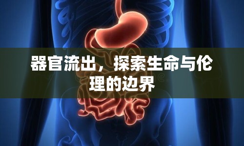 器官流出，探索生命與倫理的邊界