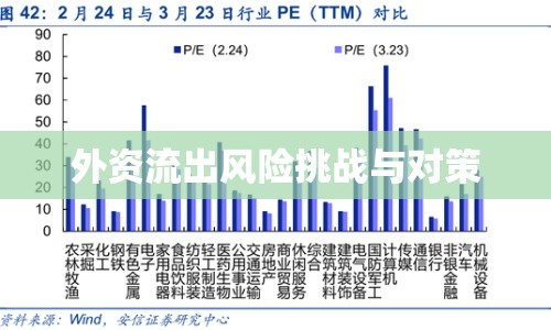 外資流出風(fēng)險(xiǎn)挑戰(zhàn)與對(duì)策