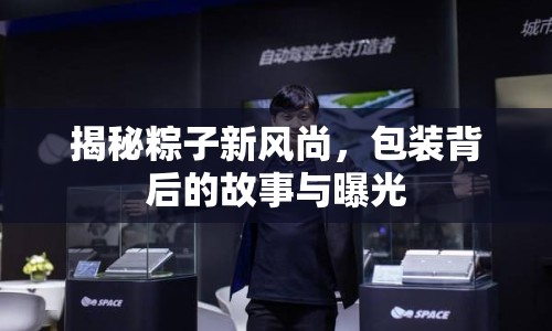 揭秘粽子新風(fēng)尚，包裝背后的故事與曝光