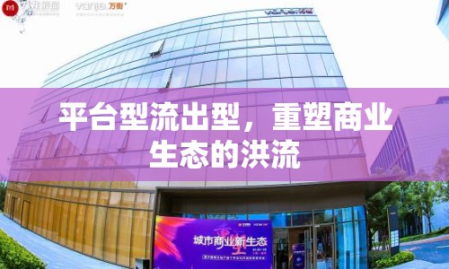 平臺型流出型，重塑商業(yè)生態(tài)的洪流