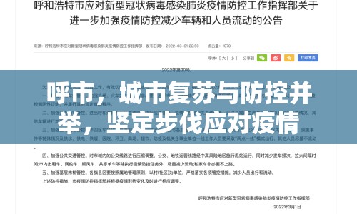 呼市，城市復(fù)蘇與防控并舉，堅(jiān)定步伐應(yīng)對疫情