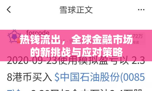 熱錢流出，全球金融市場的新挑戰(zhàn)與應(yīng)對策略