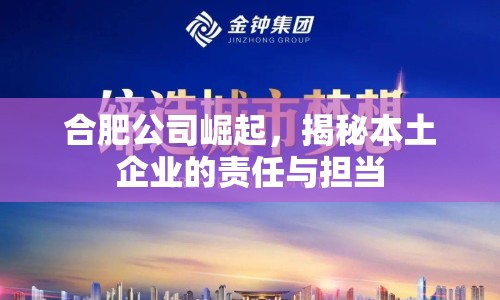 合肥公司崛起，揭秘本土企業(yè)的責(zé)任與擔(dān)當