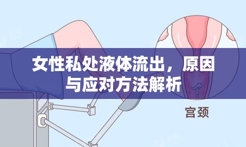 女性私處液體流出，原因與應(yīng)對方法解析