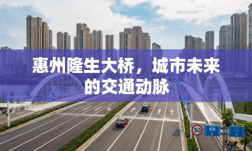 惠州隆生大橋，城市未來的交通動(dòng)脈