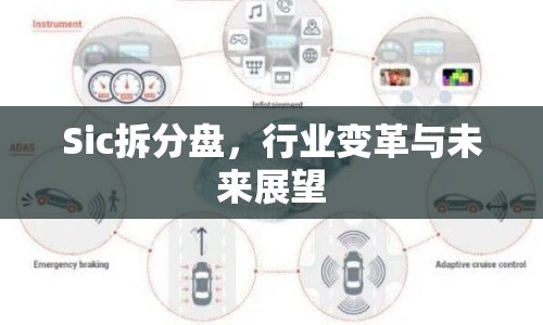 Sic拆分盤，行業(yè)變革與未來展望