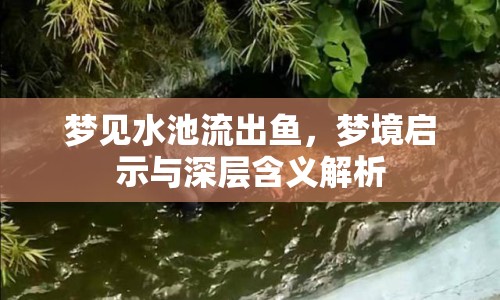 夢見水池流出魚，夢境啟示與深層含義解析
