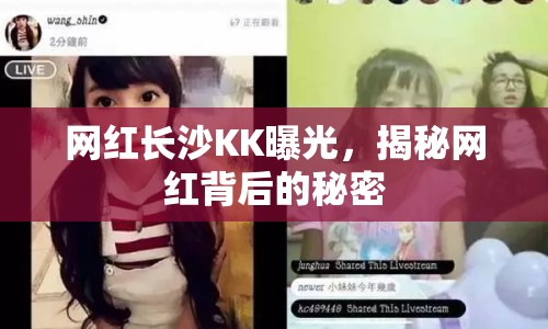 網(wǎng)紅長沙KK曝光，揭秘網(wǎng)紅背后的秘密