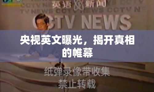 央視英文曝光，揭開真相的帷幕