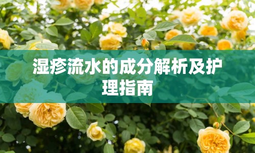 濕疹流水的成分解析及護(hù)理指南
