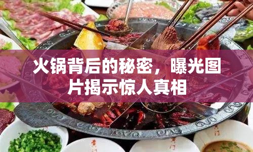 火鍋背后的秘密，曝光圖片揭示驚人真相