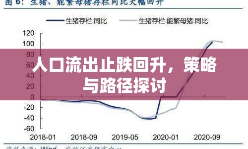 人口流出止跌回升，策略與路徑探討