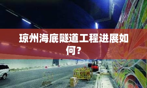 瓊州海底隧道工程進展如何？