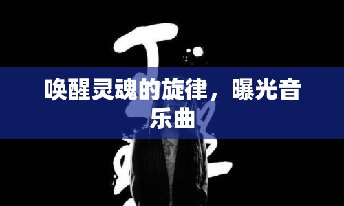 喚醒靈魂的旋律，曝光音樂曲