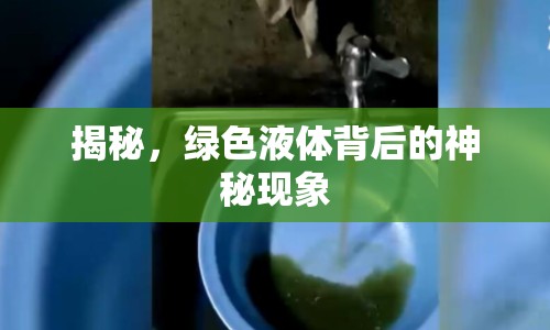 揭秘，綠色液體背后的神秘現(xiàn)象