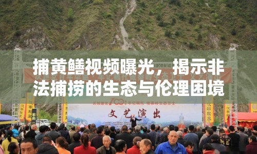 捕黃鱔視頻曝光，揭示非法捕撈的生態(tài)與倫理困境